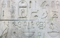 Hieroglyphs O5H5177